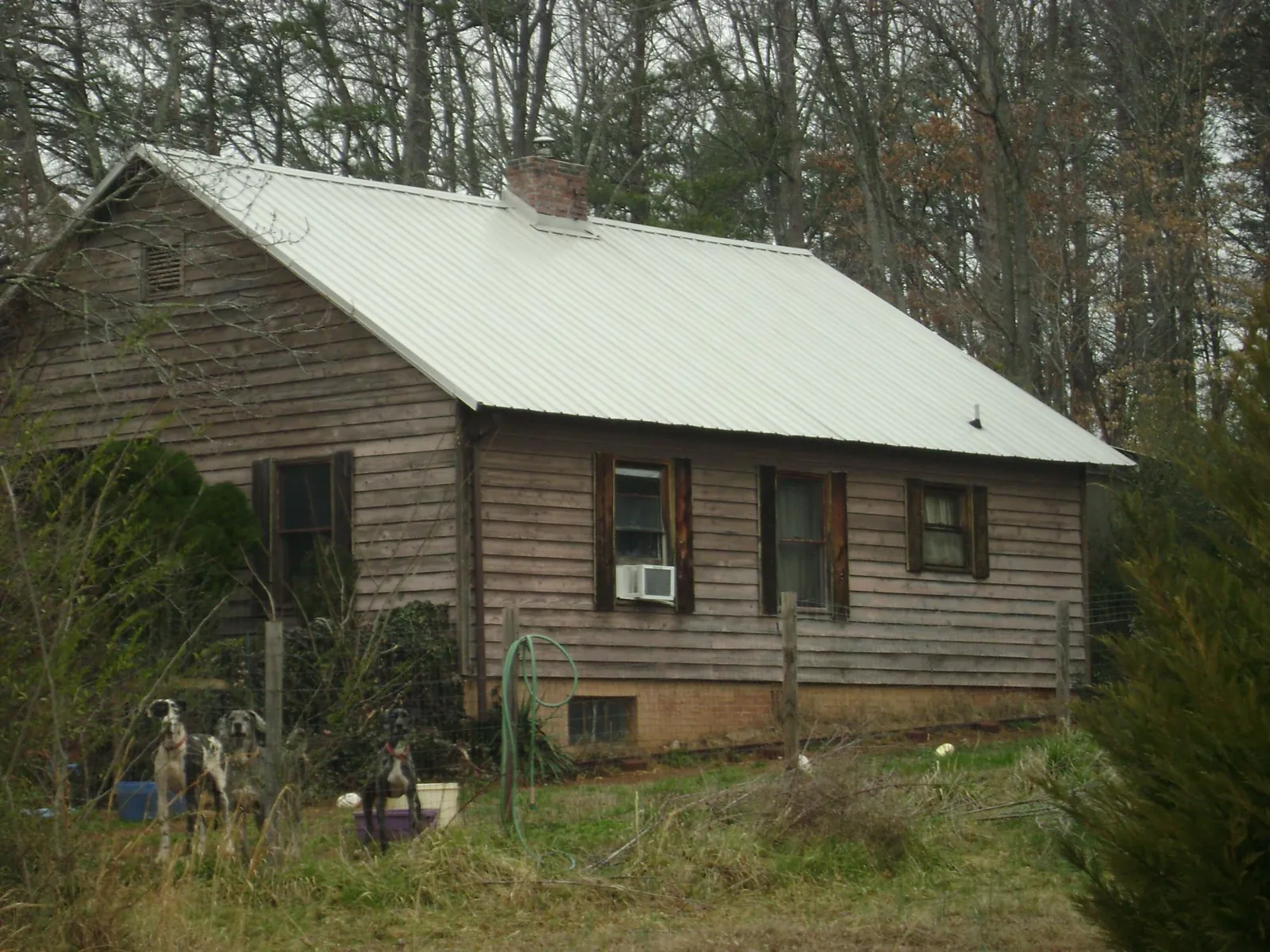 White metal roof on an old wood sided farmhouse, from a Asphalt Shingle Roof Repair job in Clayville